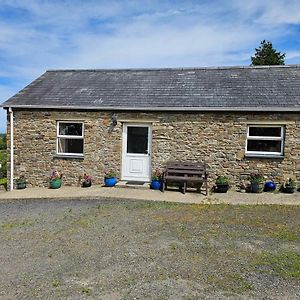 Ddol Cottage Traditional Coastal Cottage Nr Llangrannog & New Quay With Donkeys Llandysul Exterior photo