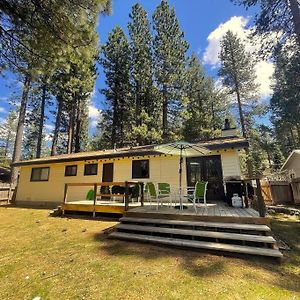 Bear Claw Trails - Dogs - Awesome Yard - Fire Pit Villa South Lake Tahoe Exterior photo