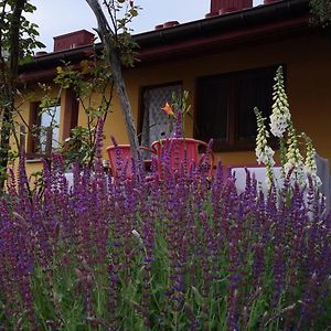 Pszczeli Ogrod - Agroturystyka Villa Deba Exterior photo