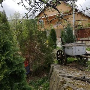 Piatra Mare Nehoiu 1 Hotel Exterior photo