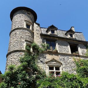 Jolie Maison Deux Chambres Et Canape-Lit #Au Coeur Du Village# Sainte-Eulalie-d'Olt Exterior photo