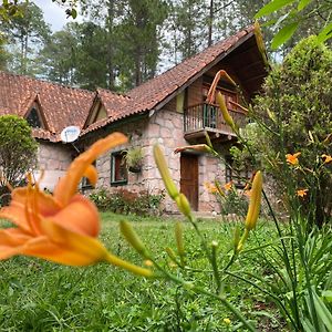 El Chalet Villa Valle de Angeles Exterior photo