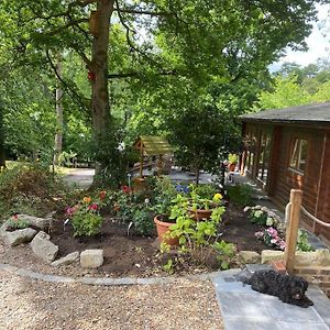 3 Bedroom Lodge Hotub Pool In Horsley Surrey Uk East Horsley Exterior photo