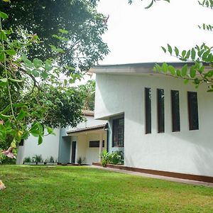 Villa For Leisure And Work At Kalutara Suburbs Bandaragama Exterior photo