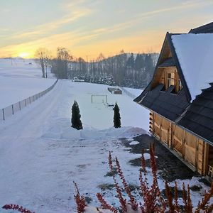 Domek Nbd-Bafia Villa Zakopane Exterior photo