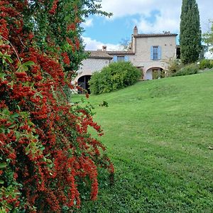 Agriturismo Del Frontino - Lo Studio Apartment Acqualagna Exterior photo