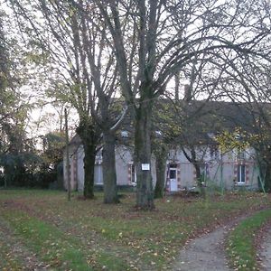 Chambre "Pommier" Au Calme En Maison D'Hotes Pres Des Chateaux - Fr-1-591-487 Bed & Breakfast Pellevoisin Exterior photo