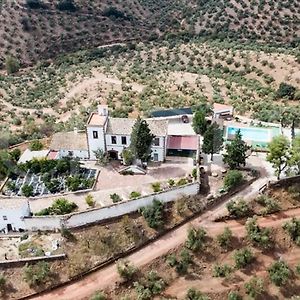 Molino Los Cardenes - 1911 Guest House Montoro Exterior photo