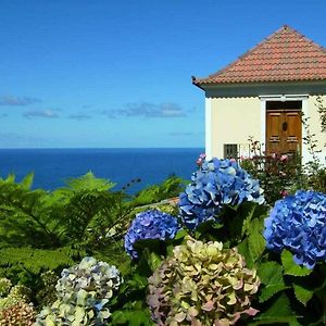 Quinta Das Hortensias Villa Arco de Sao Jorge Exterior photo