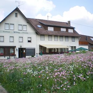 Gasthaus Pflug Bed & Breakfast Aichhalden Exterior photo