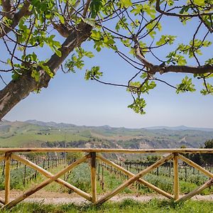 La Terrazza Sul Vigneto Bed & Breakfast Offida Exterior photo