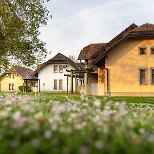 Terme Banovci - Hotelsko Naselje Zeleni Gaj Exterior photo