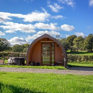 Ty Twt Teifi - Uk31917 Villa Llanddewi-Brefi Exterior photo