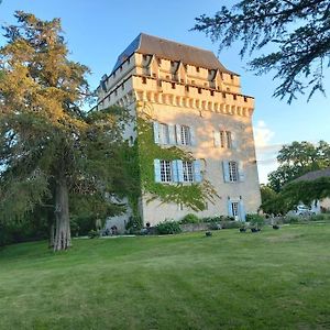 Chateau Tour Du XIII Siecle Gazaupouy Villa Exterior photo