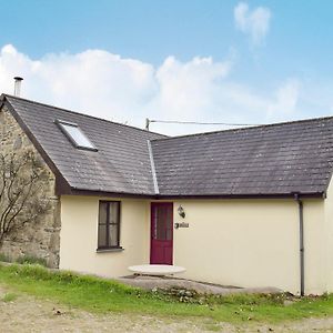 Y Bwthyn Villa Cilgwm Exterior photo