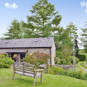 Honeysuckle Cottage Nercwys Exterior photo