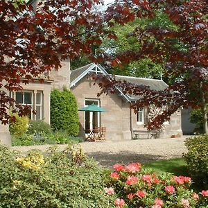 Glebe Cottage, Scone New Scone Exterior photo