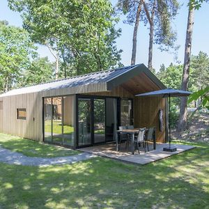 Modern Chalet With Air Conditioning, On A Holiday Park At 12 Km From Eindhoven Villa Mierlo Exterior photo