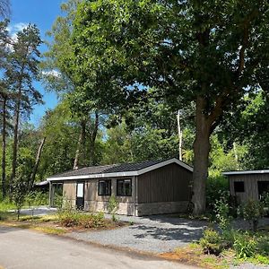 Modern Chalet In A Holiday Park, Bordering The Hoge Veluwe National Park Villa Arnhem Exterior photo