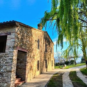 B&B Nel Vigneto Castelplanio Exterior photo