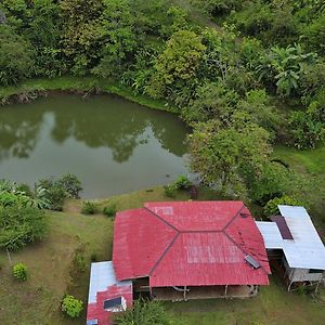 Albergue La Laguna Puerto Jimenez Exterior photo