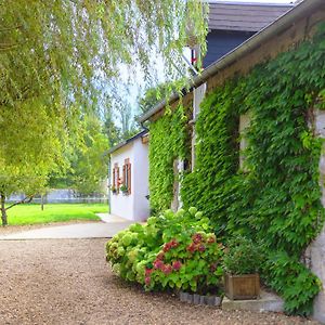 Ferme De Marpalu Bed & Breakfast La Ferte-Saint-Cyr Exterior photo