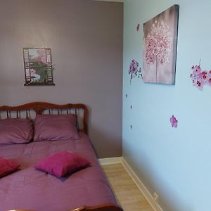 Les Rossignols Bed & Breakfast Saint-Martin-Sur-Ocre Exterior photo