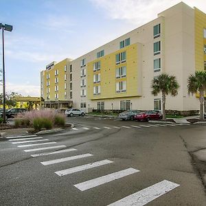 Springhill Suites Tampa North/Tampa Palms Exterior photo