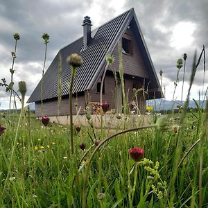 Brown Cabin Villa Zabljak  Exterior photo