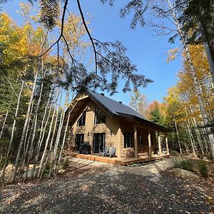 Repaire Des Bouleaux - Chalet Spa Charlevoix Villa Saint-Tite-des-Caps Exterior photo