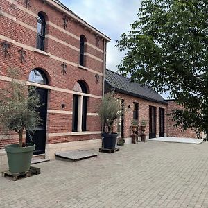 De Wilden Ezel Bed & Breakfast Mol Exterior photo