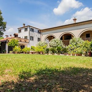 B&B La Villa Del Vecchio Platano Vigonovo  Exterior photo