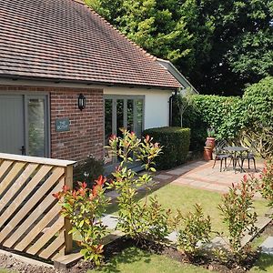 The Bothy Villa Bere Regis Exterior photo