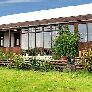 Raven'S Bed Bed & Breakfast Keflavik Exterior photo