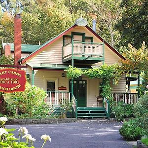 Mary Cards Coach House Bed & Breakfast Olinda Exterior photo