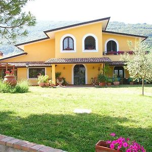 Azienda Agricola Il Bagolaro Hotel Nerola Exterior photo