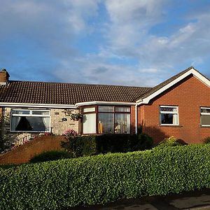 Number Nine Accommodation Downpatrick Exterior photo