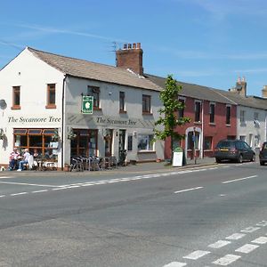 The Sycamore Tree Bed & Breakfast Longtown Exterior photo