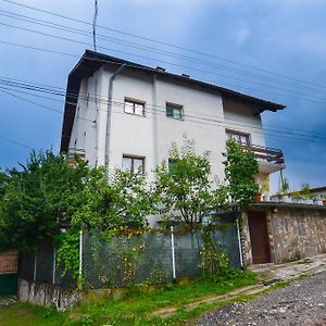 Topuzovi Guest House Dobrinishte Exterior photo