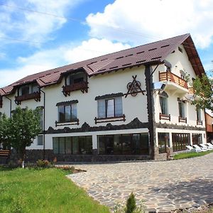 Pensiunea Lacramioara Hotel Sacel  Exterior photo