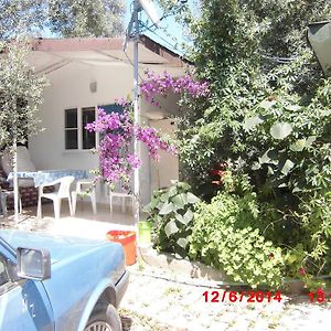 Mini Bufe Pansiyon Bed & Breakfast Sazli Exterior photo