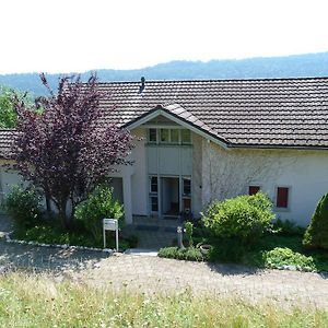 Bnb Goldberg Bed & Breakfast Schmerikon Exterior photo