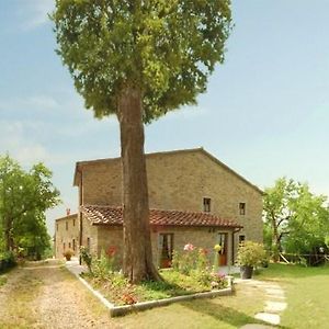 Agriturismo Il Piano Villa Pratovecchio Exterior photo