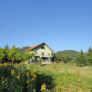 Green House Bed & Breakfast Morano Calabro Exterior photo