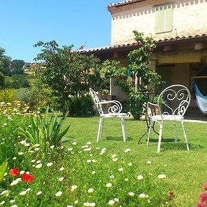 Poggio Dei Prugnoli Bed & Breakfast Tavoleto Exterior photo