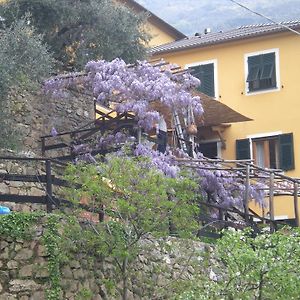 Agriturismo Il Sogno Villa Lorsica Exterior photo