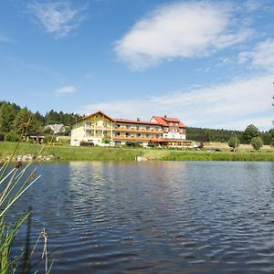 Gasthof-Pension Nordwald Harbach  Exterior photo