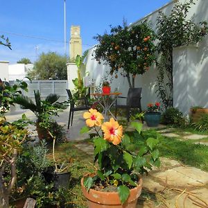 Araucaria Bed & Breakfast Torre San Giovanni Ugento Exterior photo