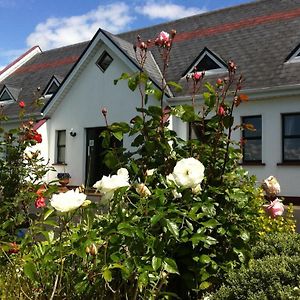 Coonagh Lodge Limerick Exterior photo