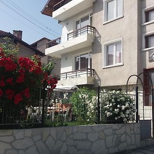 Mira Guest House Dobrinishte Exterior photo